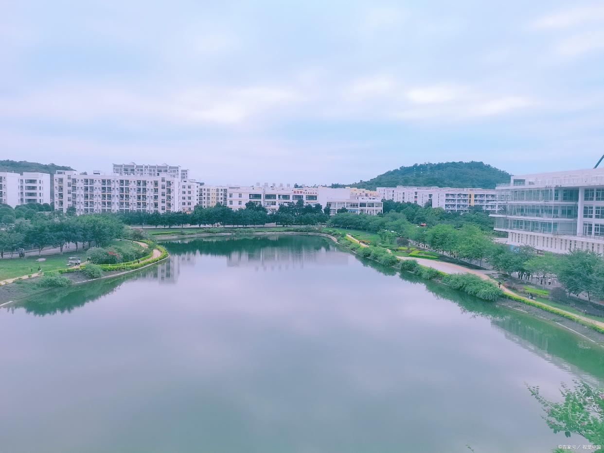 斯坦福博士竟然去角逐乡镇公务员,是“学霸下乡,智慧闪光”吗?